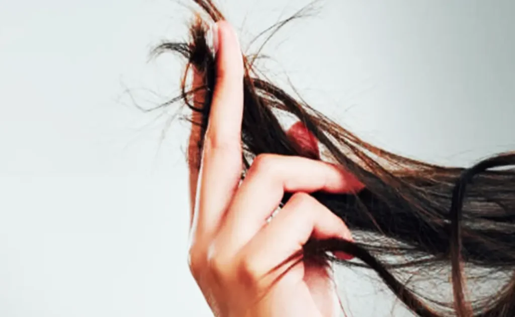 Shampo Terbaik untuk Rambut Rusak dan Kering