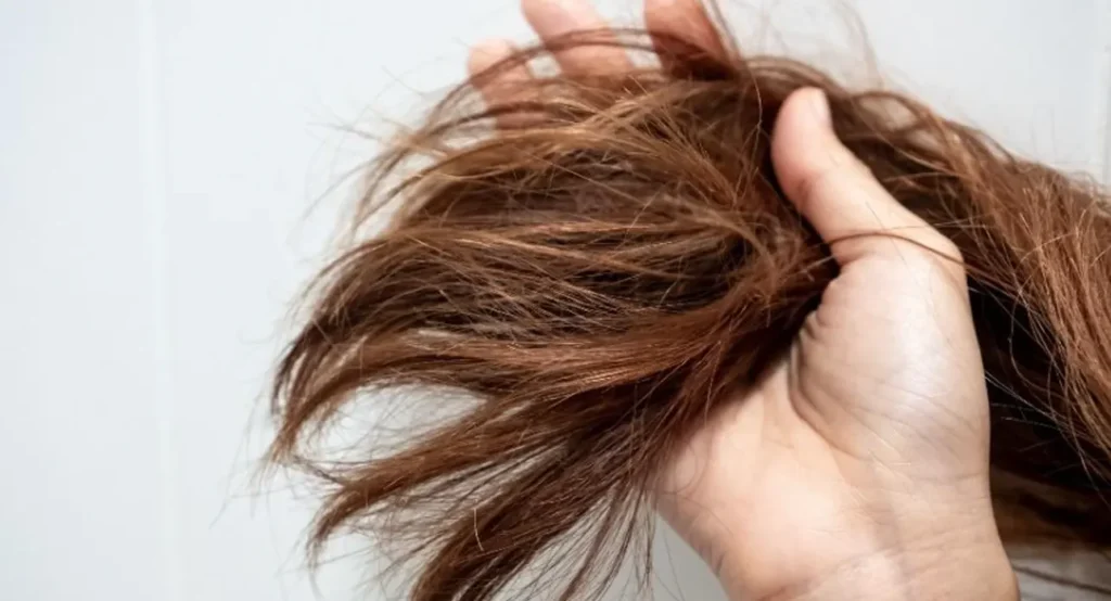 Perawatan Rambut Rusak dan Kering